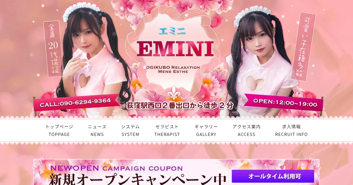 EMINI～エミニ～