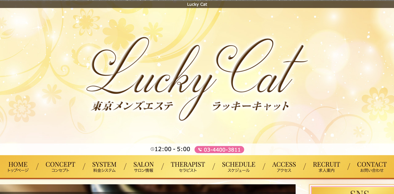 Lucky Cat ～ラッキーキャット～