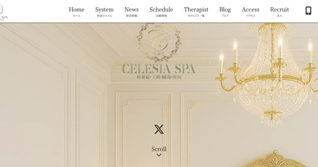秋葉原メンズエステ｜CELESIA SPA ～セレシア スパ～ 秋葉原ルームの口コミ＆体験談