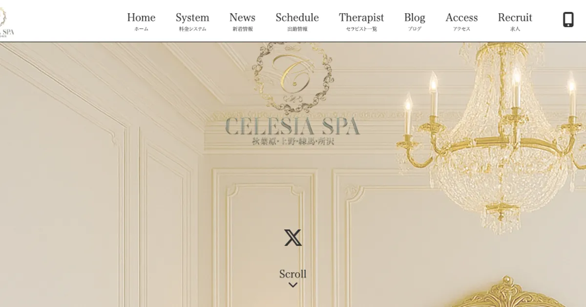 秋葉原メンズエステ｜CELESIA SPA ～セレシア スパ～ 秋葉原ルームの口コミ＆体験談