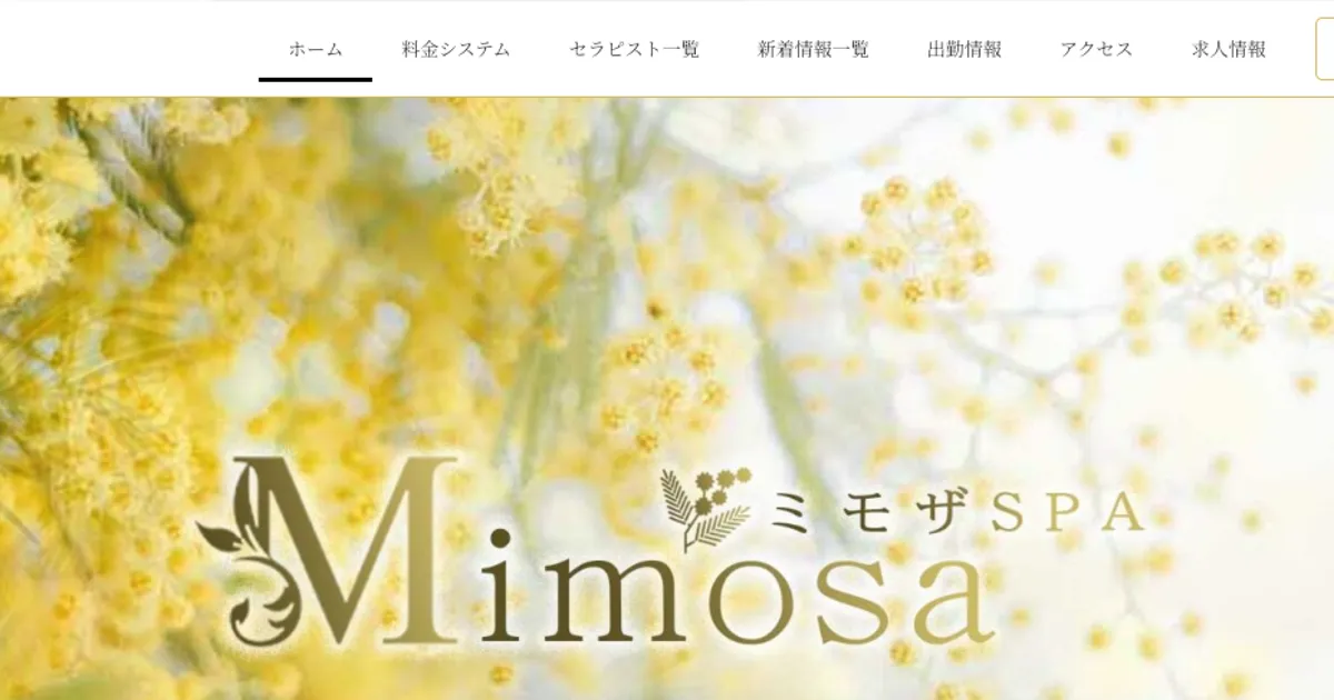 綱島メンズエステ｜Mimosaミモザ SPAの口コミ＆体験談