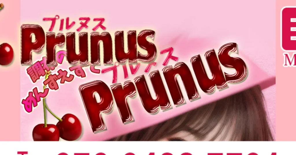 調布メンズエステ｜Prunus（プルヌス）の口コミ＆体験談