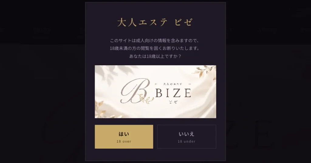 秋葉原メンズエステ｜BIZE ～ビゼ～の口コミ＆体験談