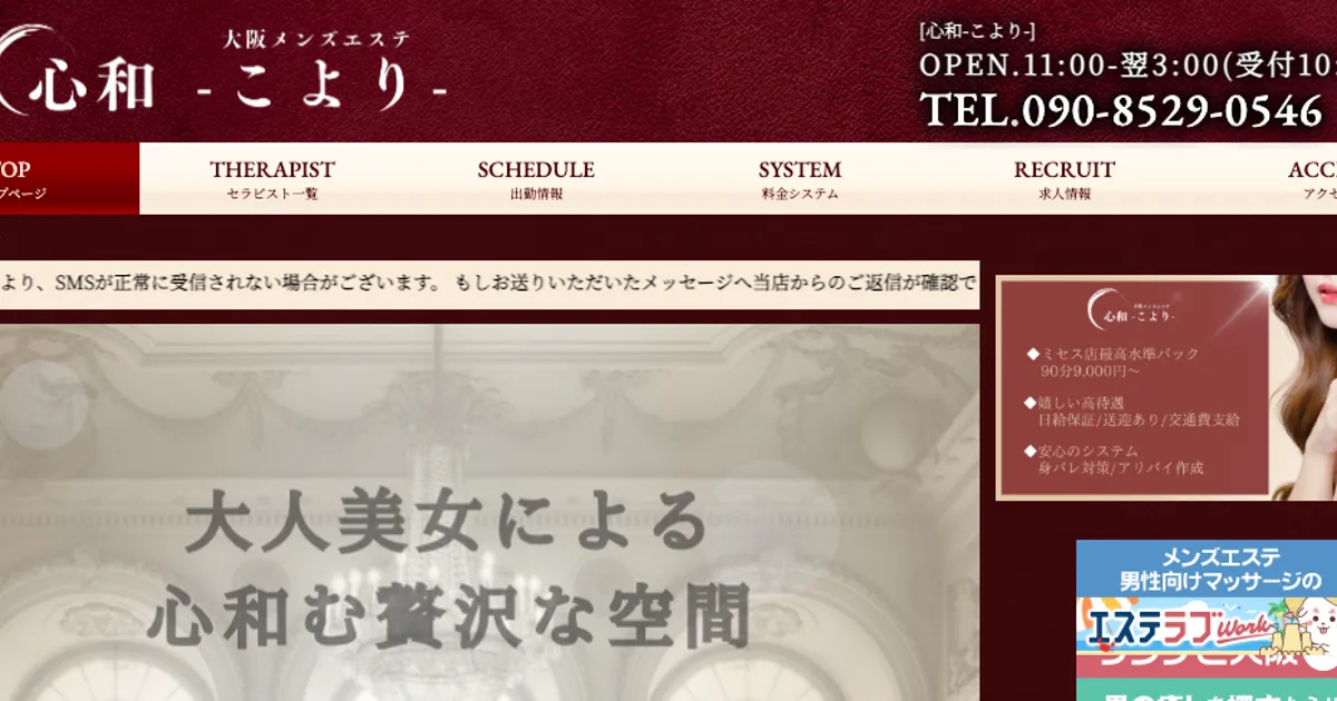 心和 ～こより～